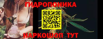 СК Дмитров